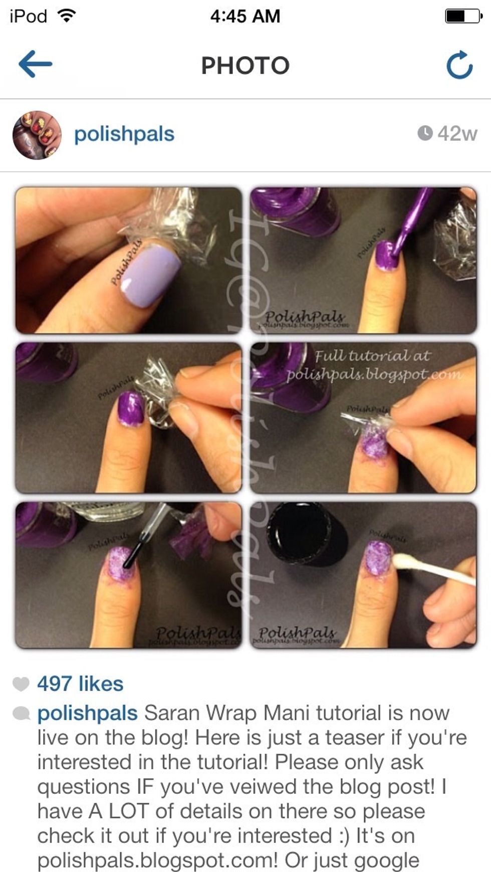 IG @polishpals