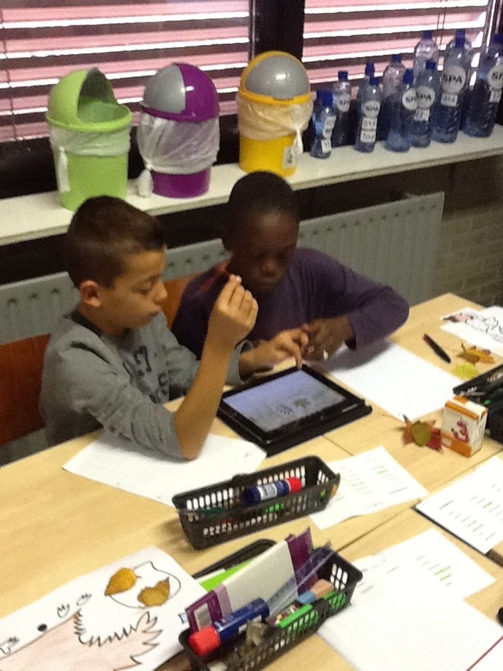 Ik denk dat het dat blad is