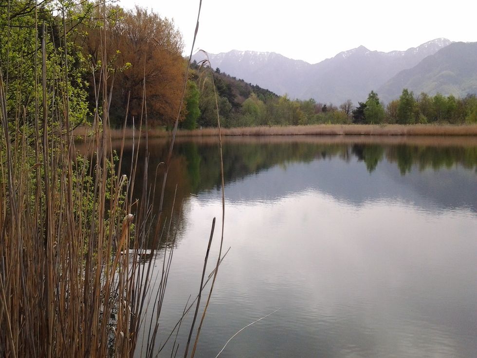 Il lago di Villa