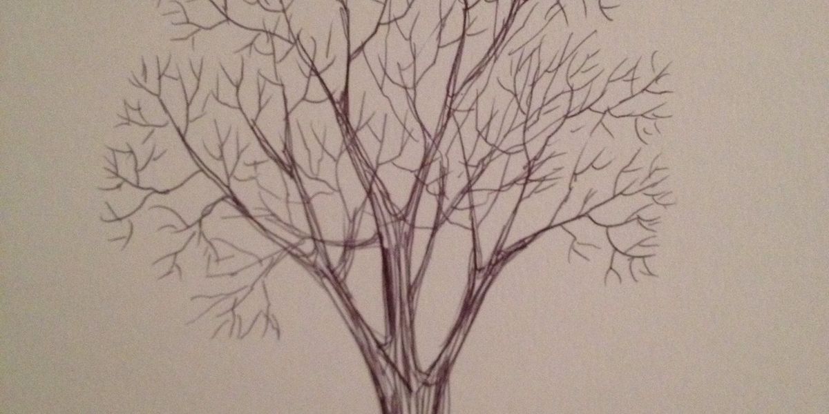 How to draw a winter tree B+C Guides