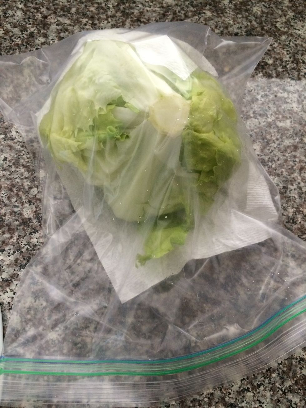 How to store lettuce B+C Guides