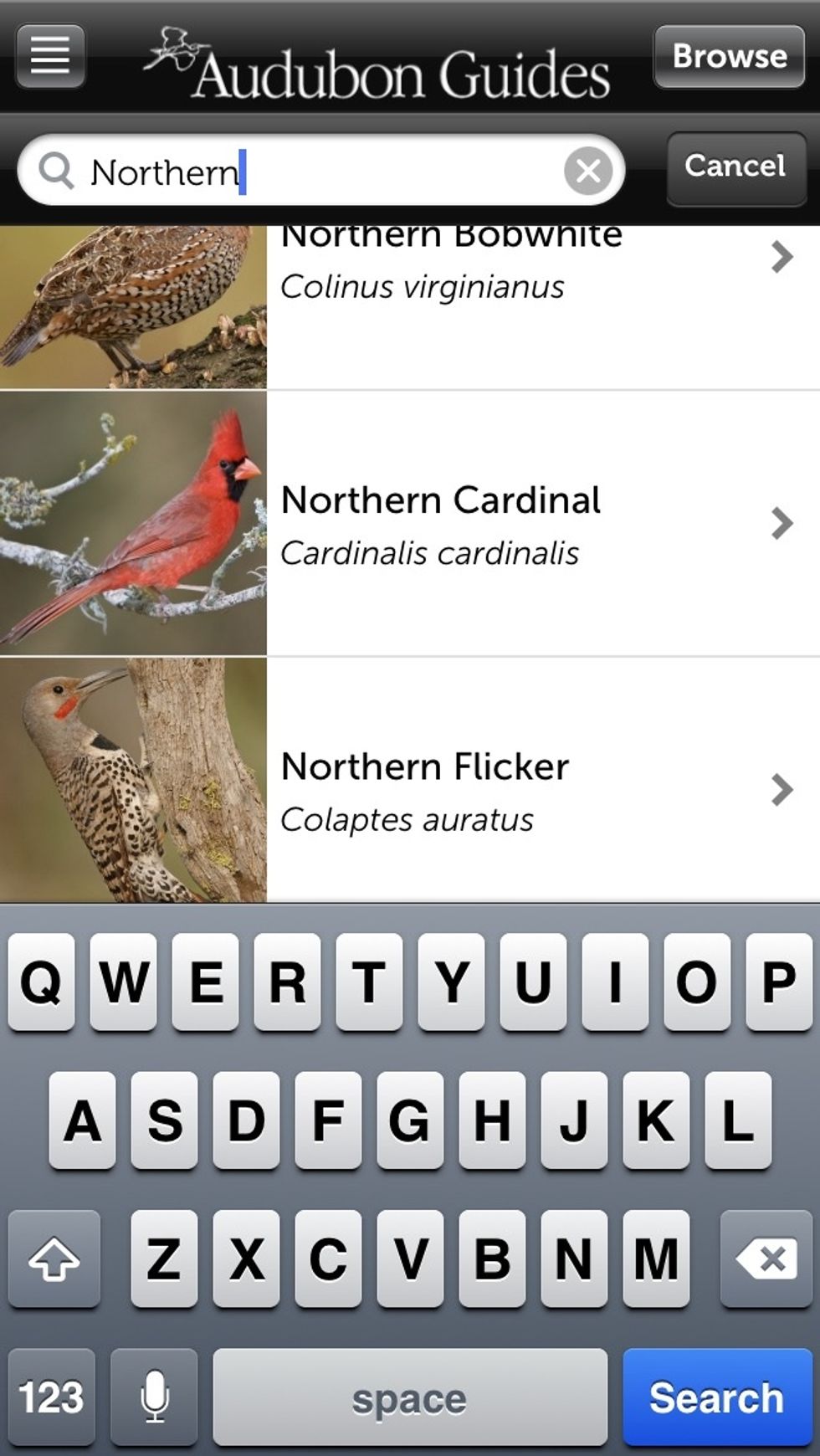 How to add a sighting in audubon birds B+C Guides