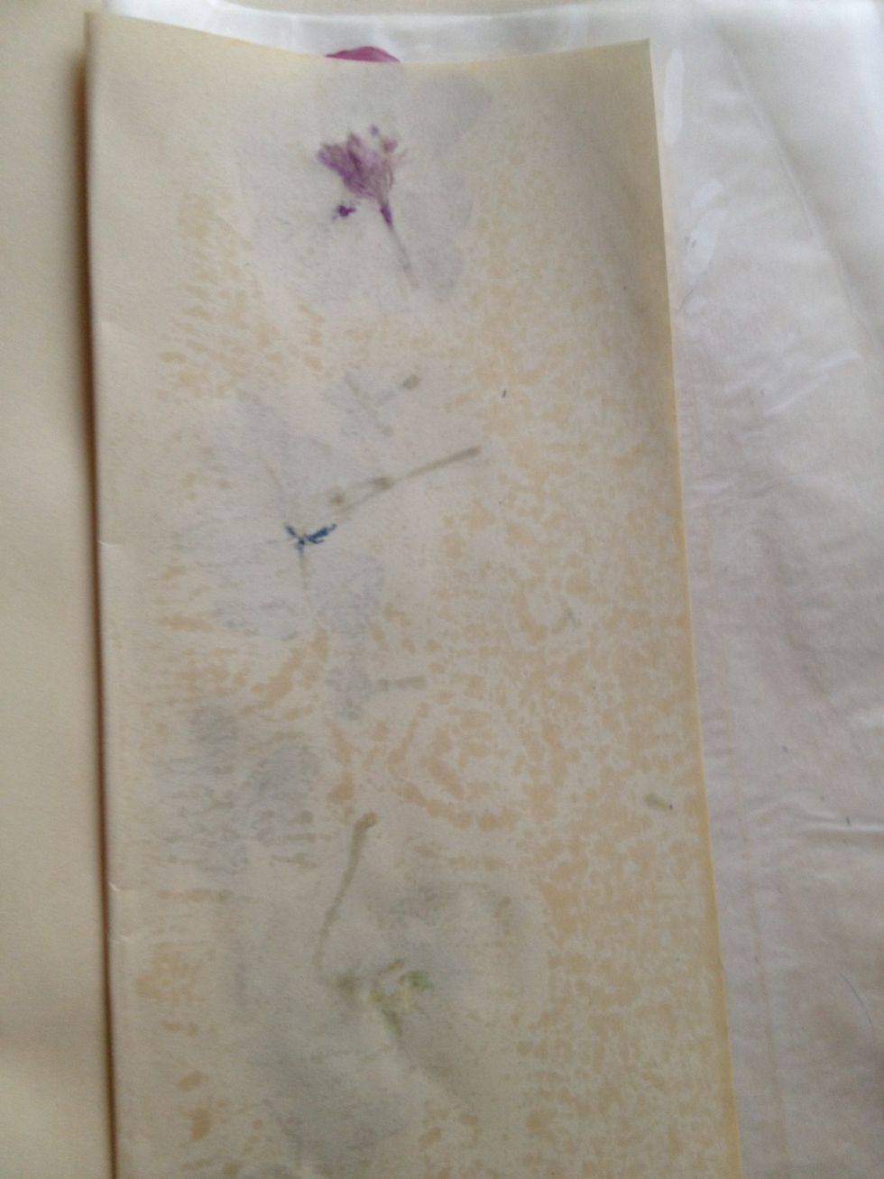 How to make a bookmark pressing flowers with an iron B+C Guides