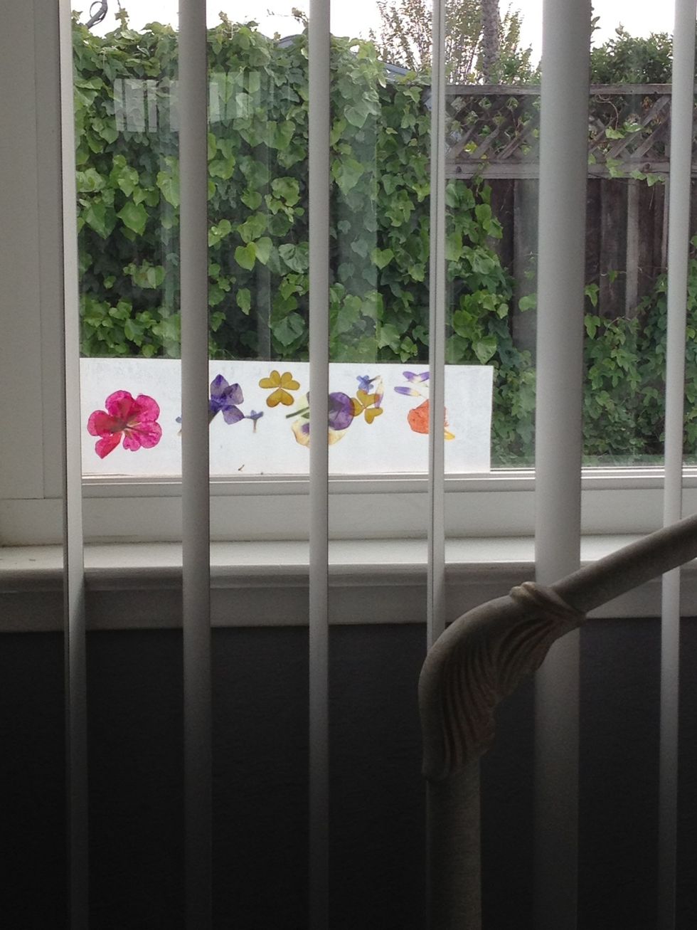 How to make a bookmark pressing flowers with an iron B+C Guides