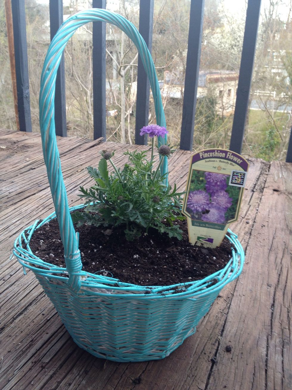 How to repurpose easter baskets. B+C Guides