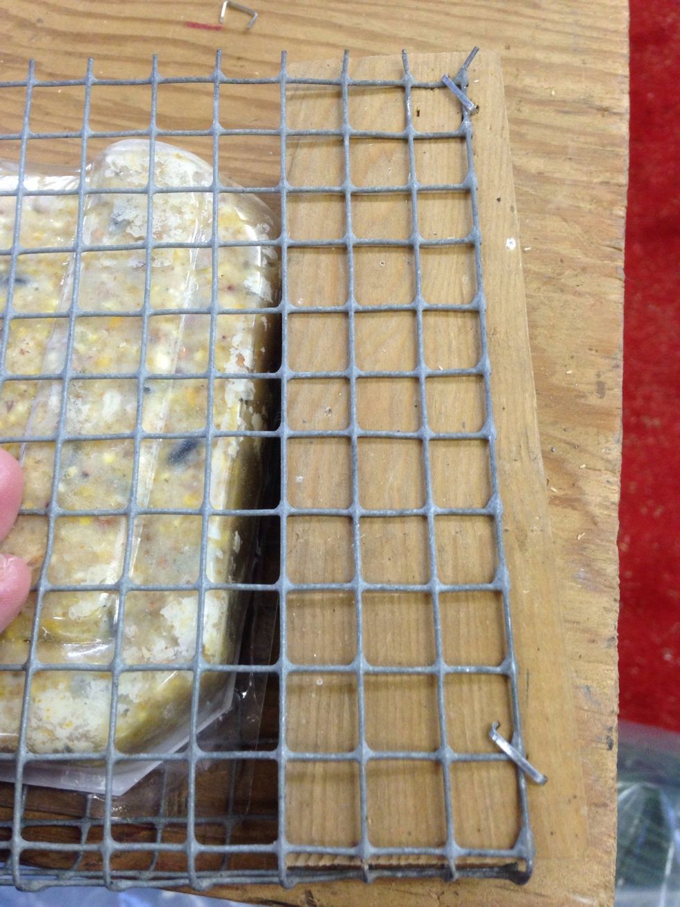 How to make your own suet holder B+C Guides