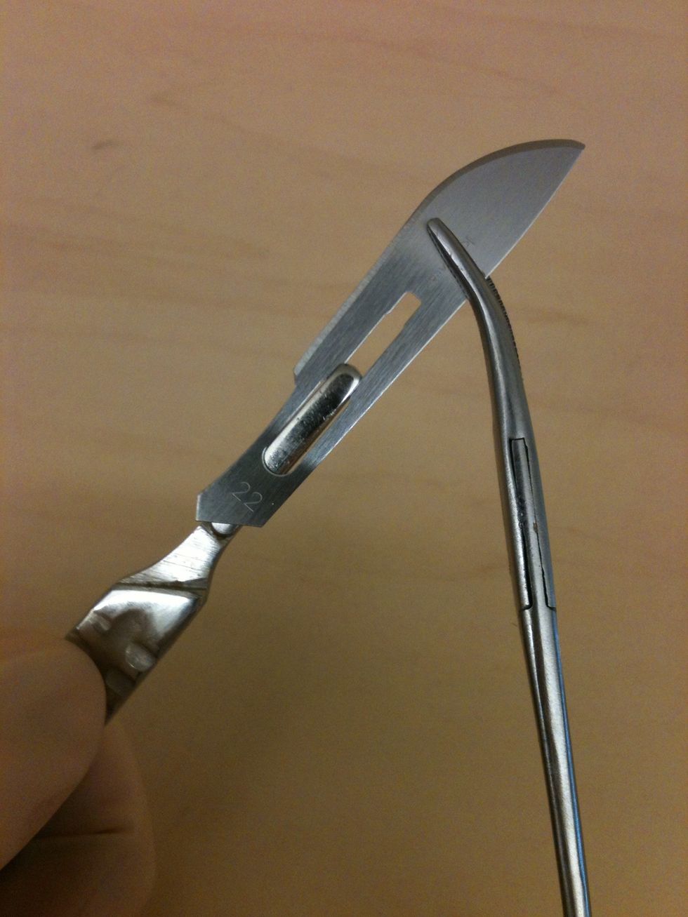 How to mount a blade onto a scalpel handle B+C Guides