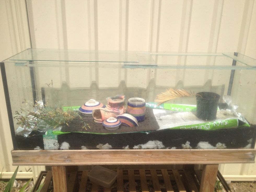 How to upcycle old fishtank into an outdoor terrarium B+C Guides