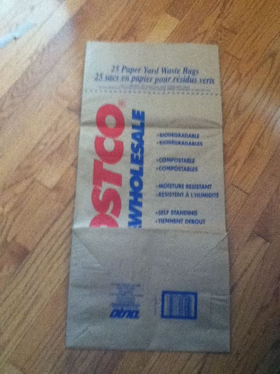 How to make a paper yard waste bag costume B+C Guides
