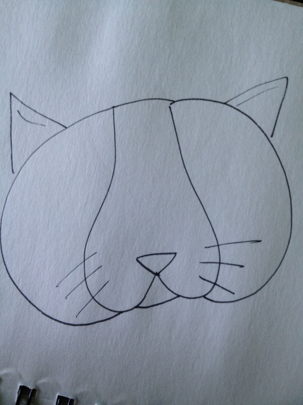 How to draw an unenthusiastic cat head - B+C Guides