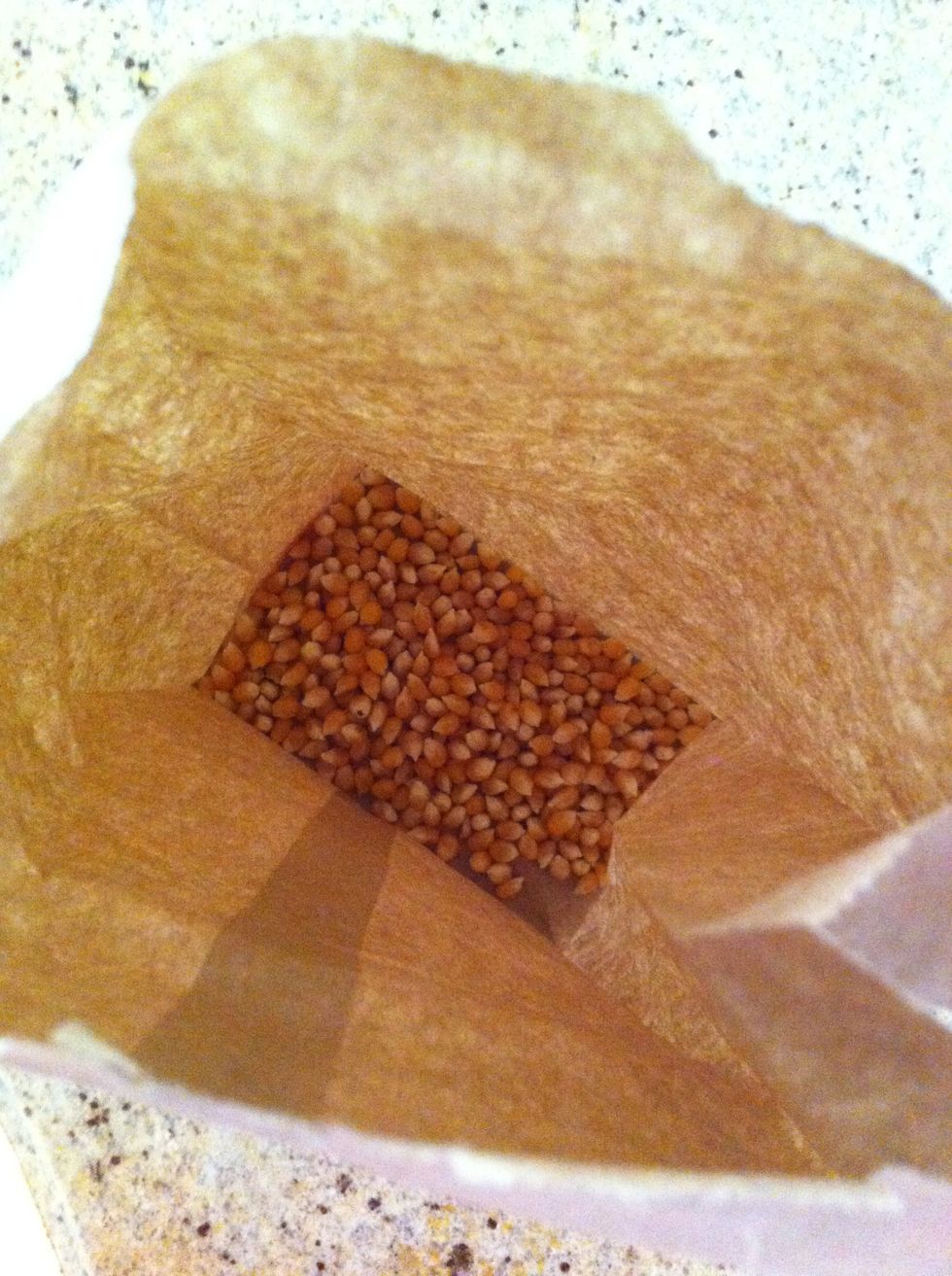 How to cook popcorn in a brown paper bag B+C Guides