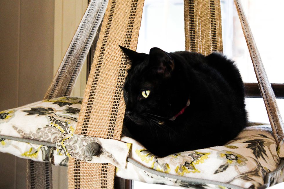 How to make a cat swing bed B+C Guides