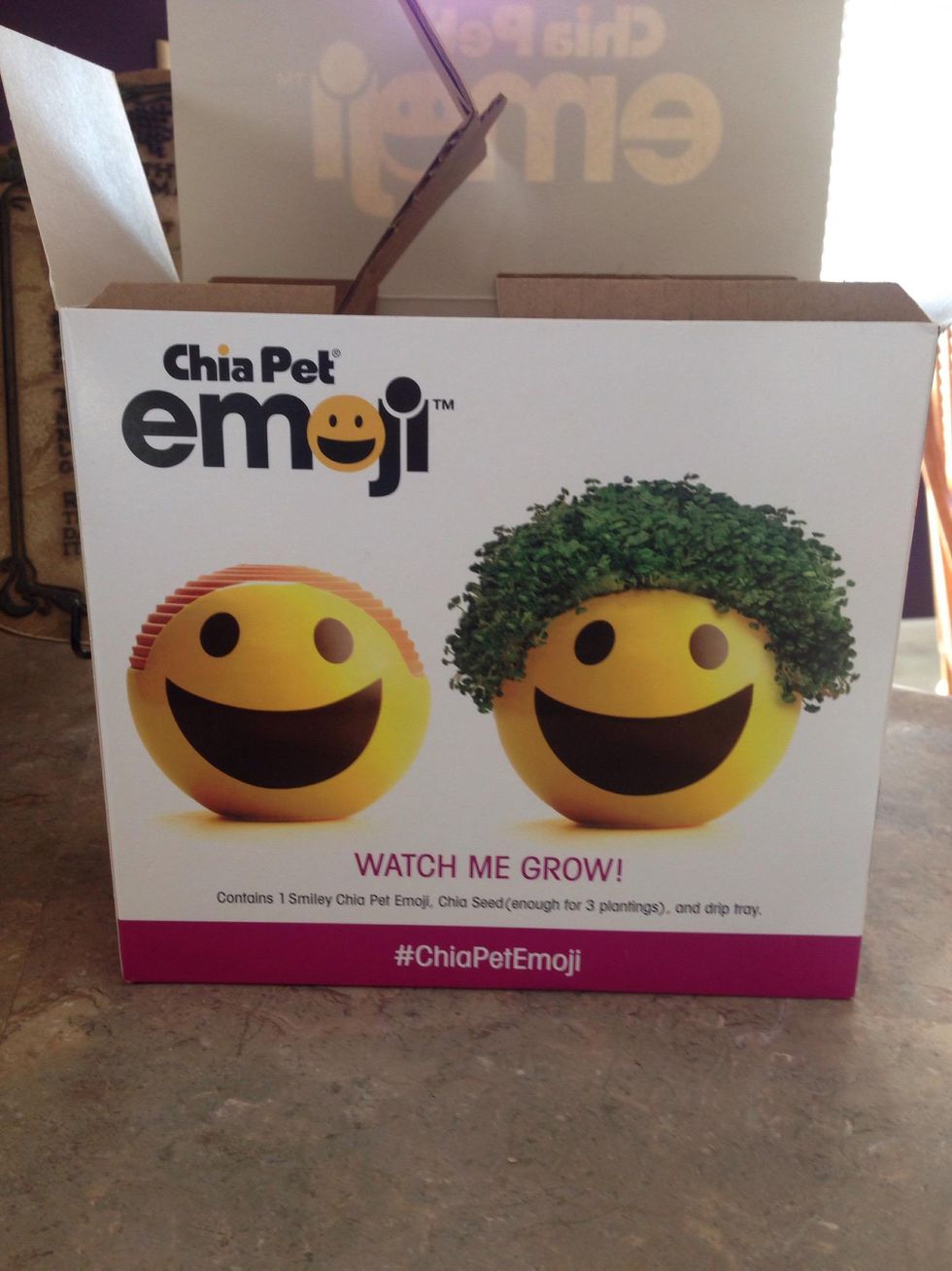 How to correctly plant a chia pet - B+C Guides