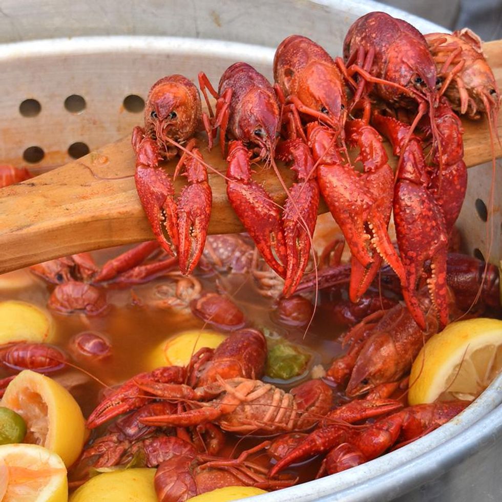 How to make a seafood boil B+C Guides