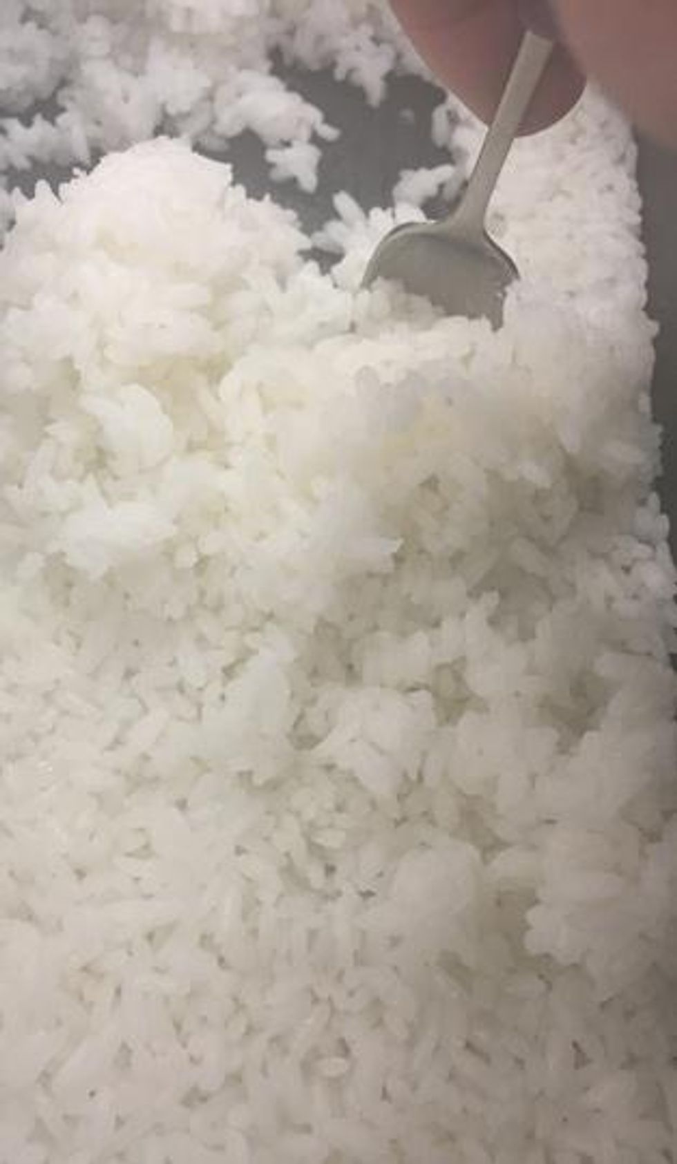 Steamed Rice 101  Combi Steam Oven Recipes