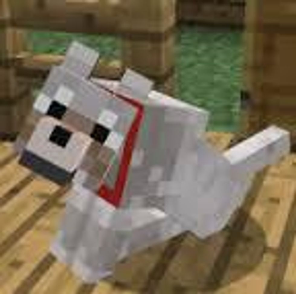 how-to-tame-a-wolf-in-minecraft-on-your-pc-b-c-guides