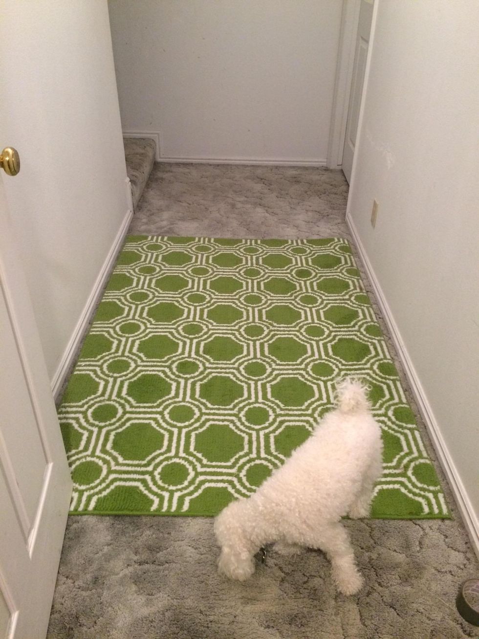 How to Secure an Area Rug on Top of Carpet