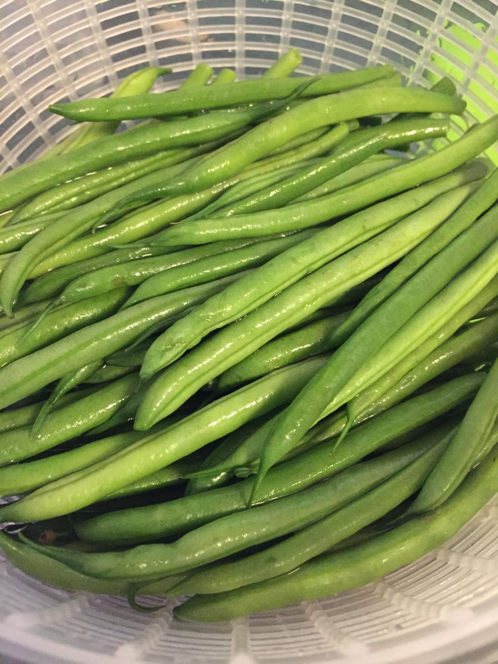 How to cook (and store) green beans for a 4+ month baby B+C Guides