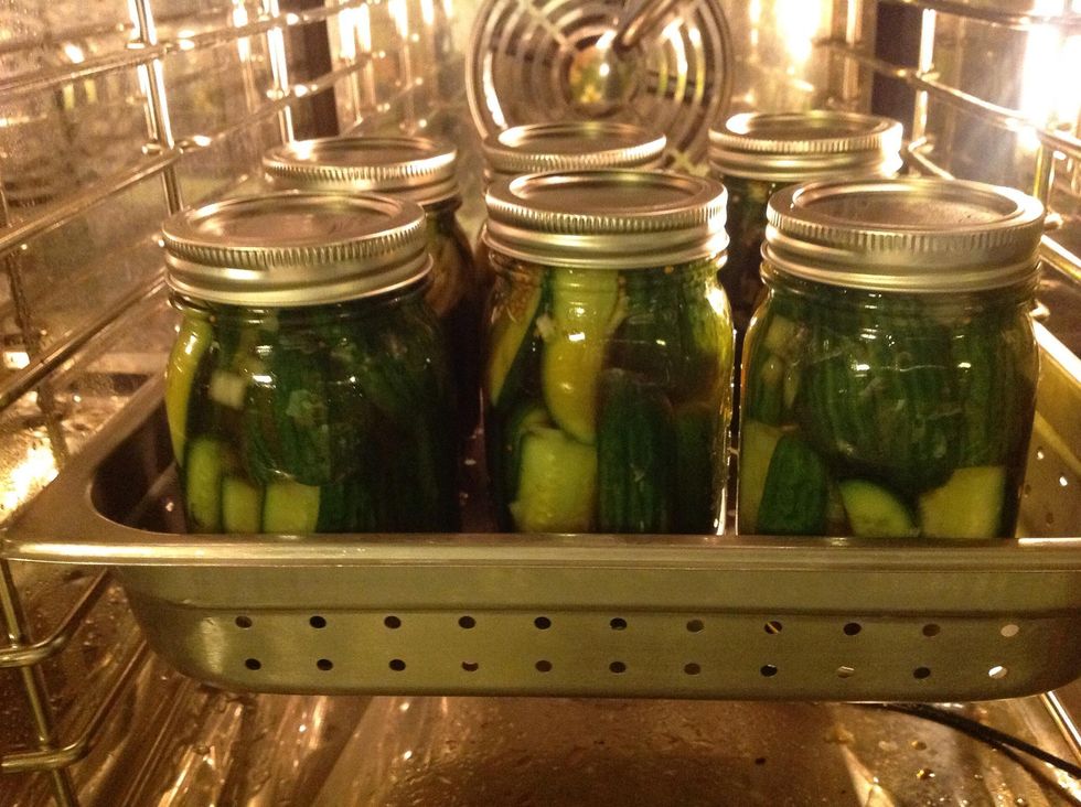 How to can pickles in a combi oven B+C Guides