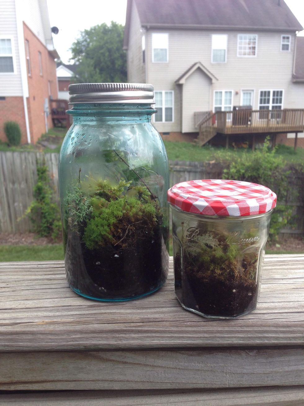 How to make a mason jar terrarium B+C Guides