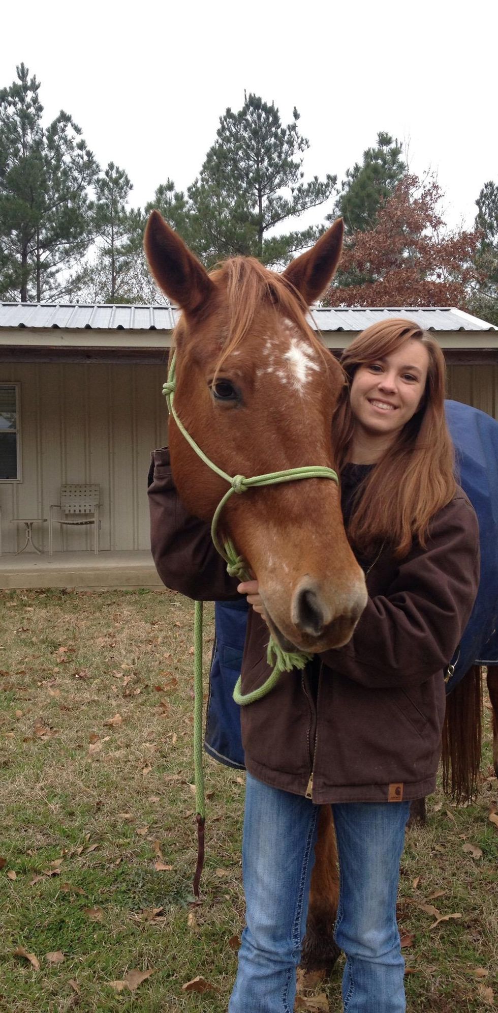 How to put on a rope halter on a horse B+C Guides