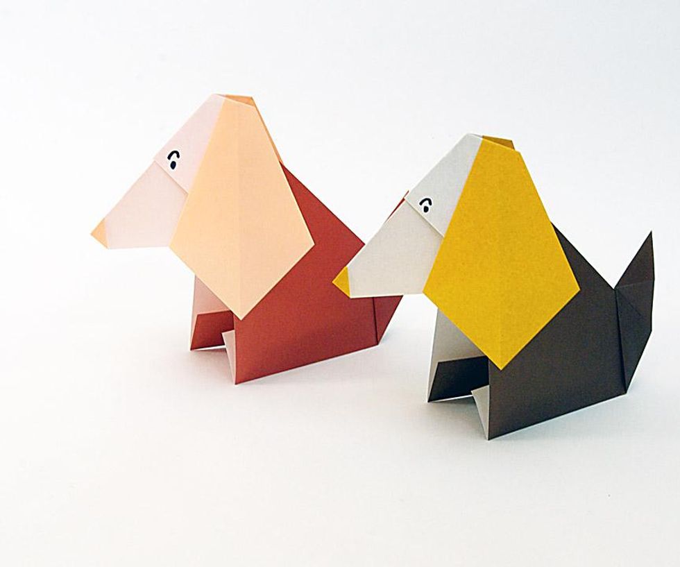 How to make head nod in dogs B+C Guides