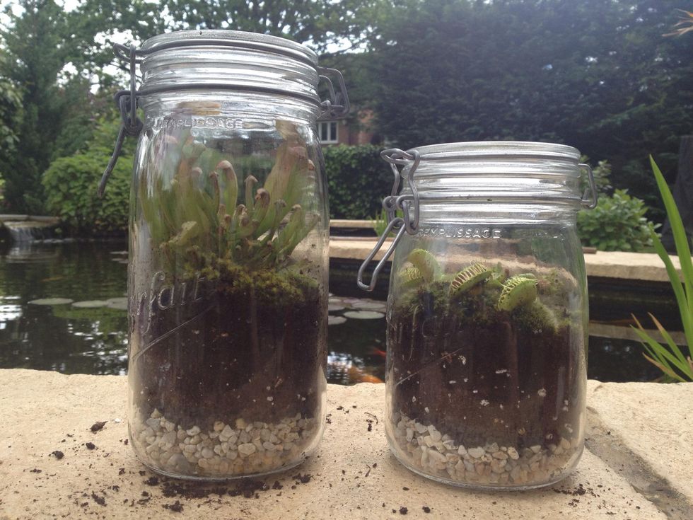 How to create a terrarium in a jar B+C Guides
