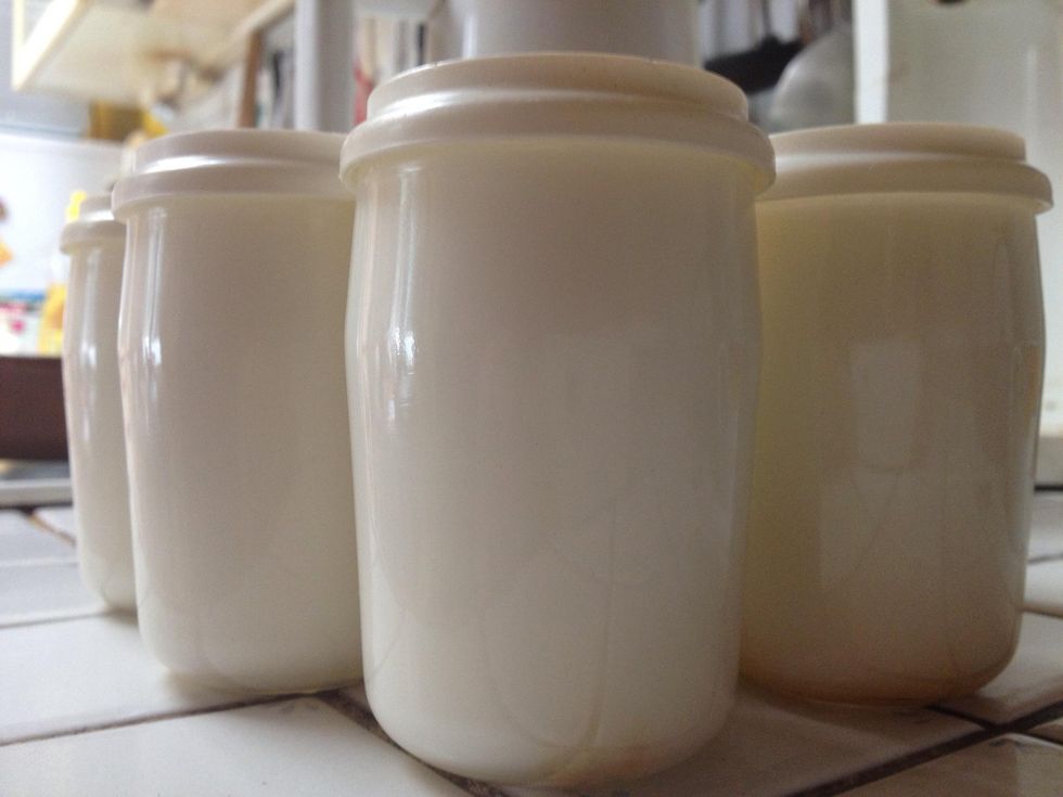 How to make yogurt in oven B+C Guides