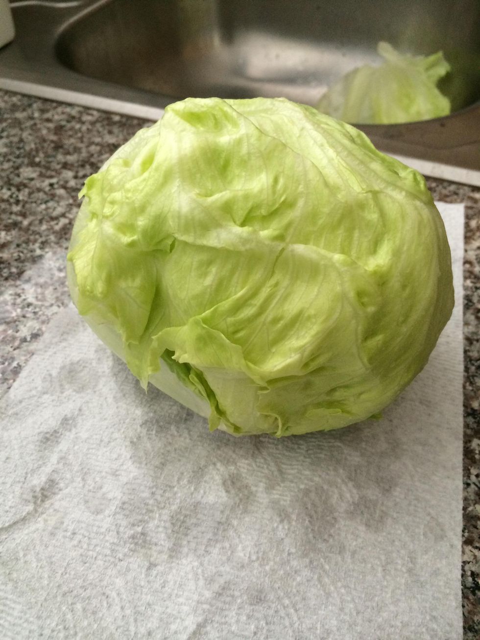 How to store lettuce - B+C Guides