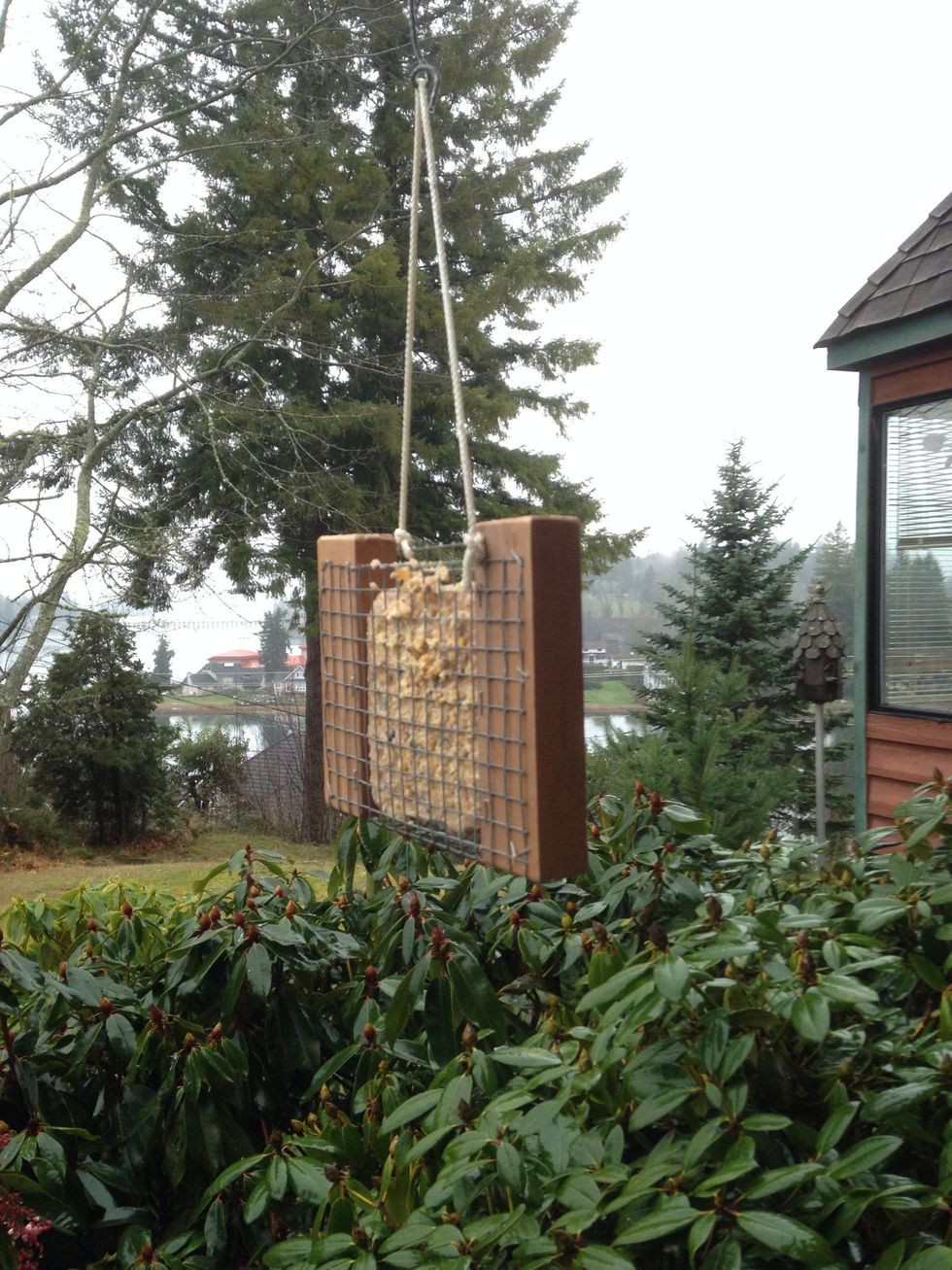 How to make your own suet holder B+C Guides