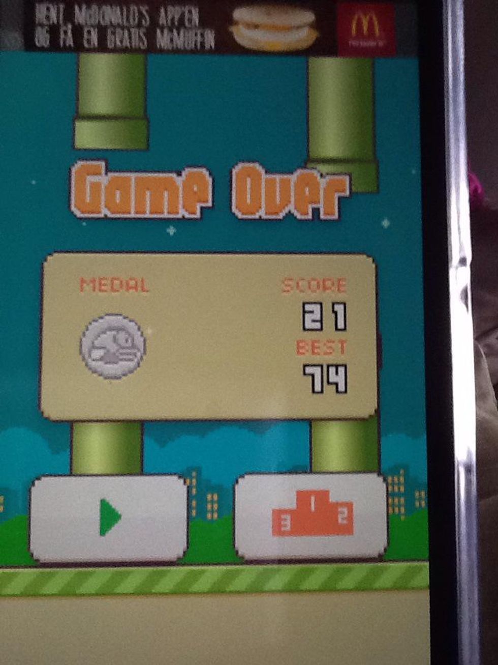 How to win flappy bird - B+C Guides