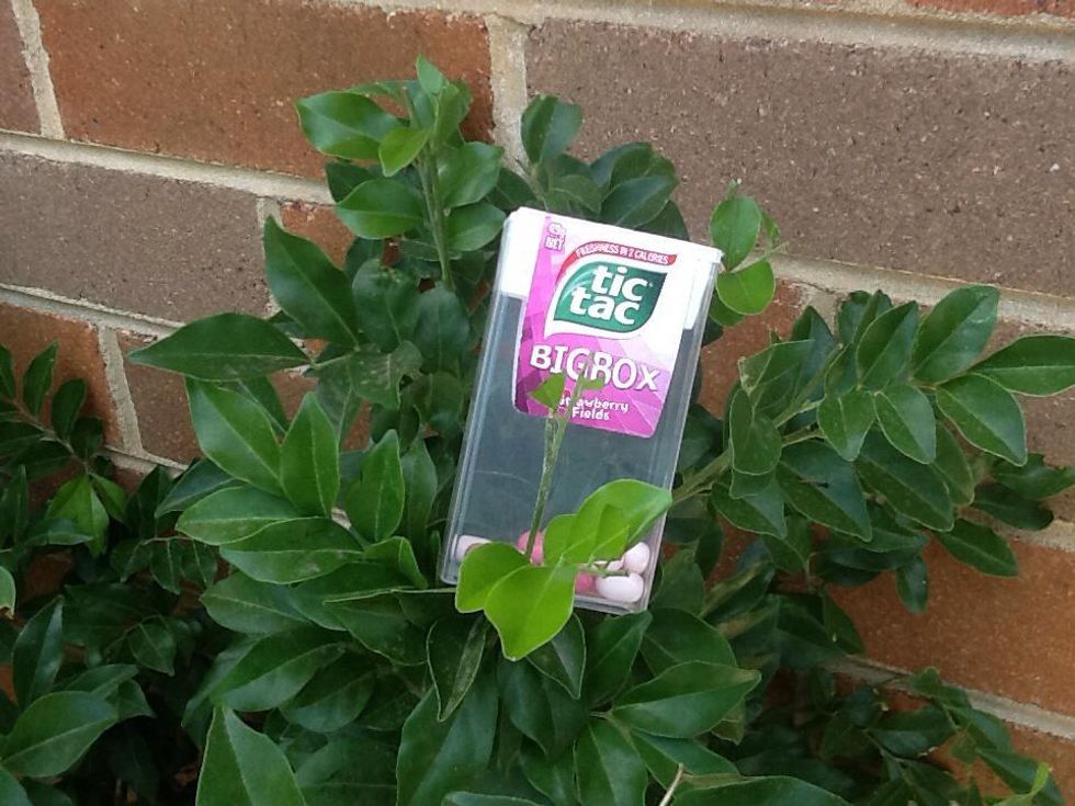 How to 10 uses for empty tic tac containers B+C Guides