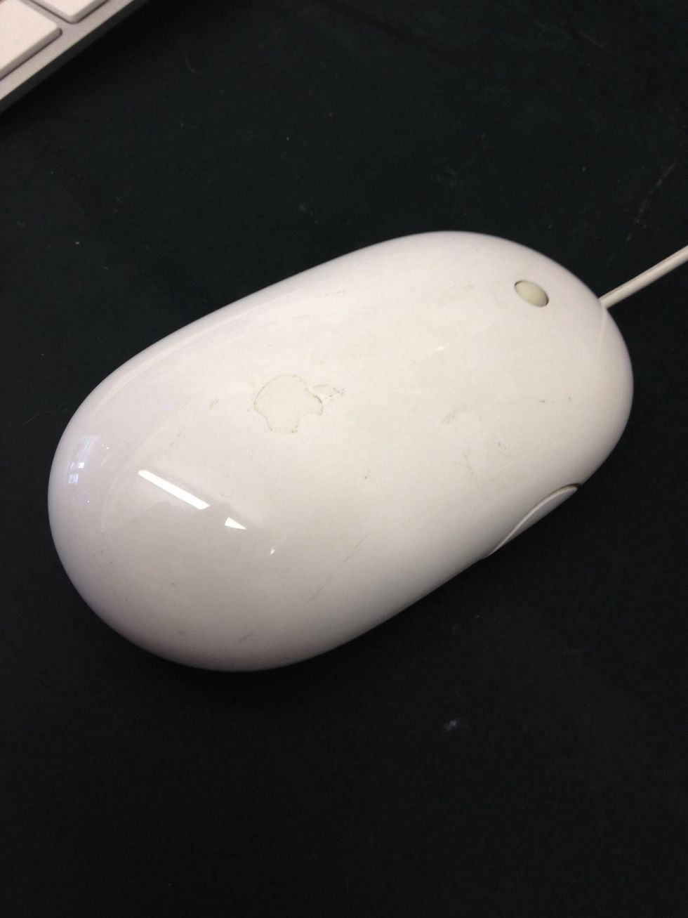 How to restore scrolling to apple mighty mouse B+C Guides