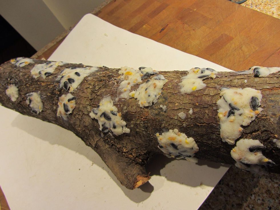 How to make a suet log bird feeder B+C Guides