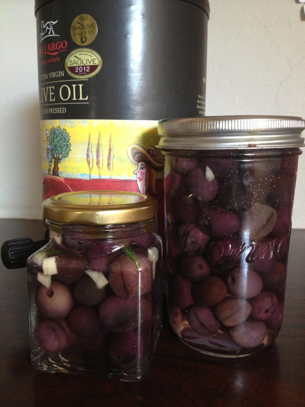 How to cure your own olives B+C Guides