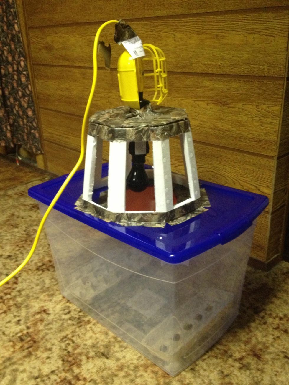 How to build a light trap for catching moths B+C Guides