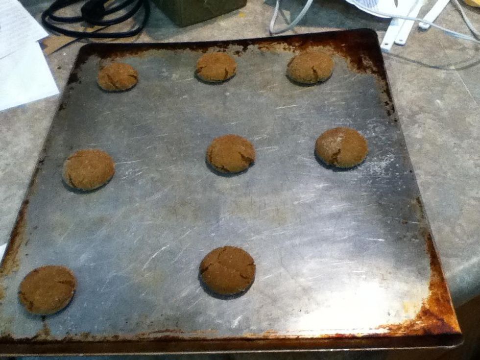 How to make ginger snaps B+C Guides