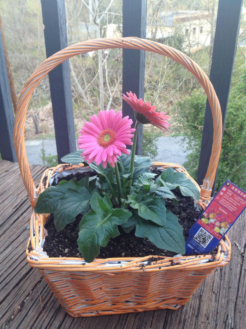 How to repurpose easter baskets. B+C Guides