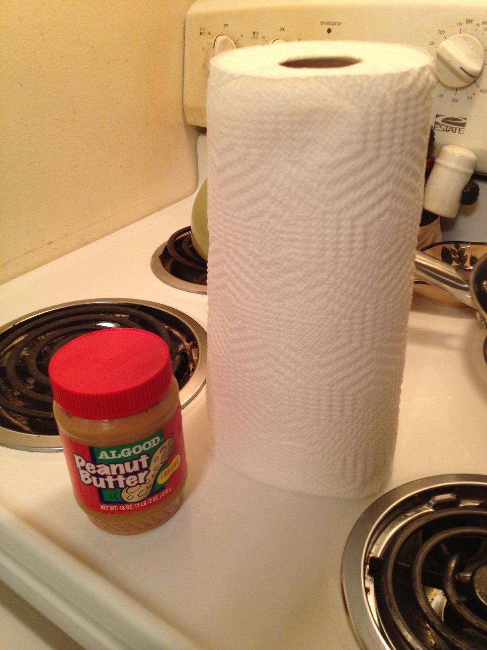 How to get chewing gum out of hair B+C Guides