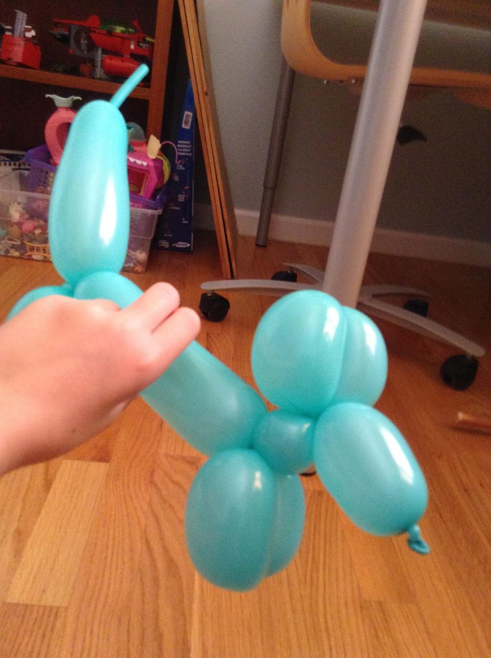 How to make a balloon dog B+C Guides
