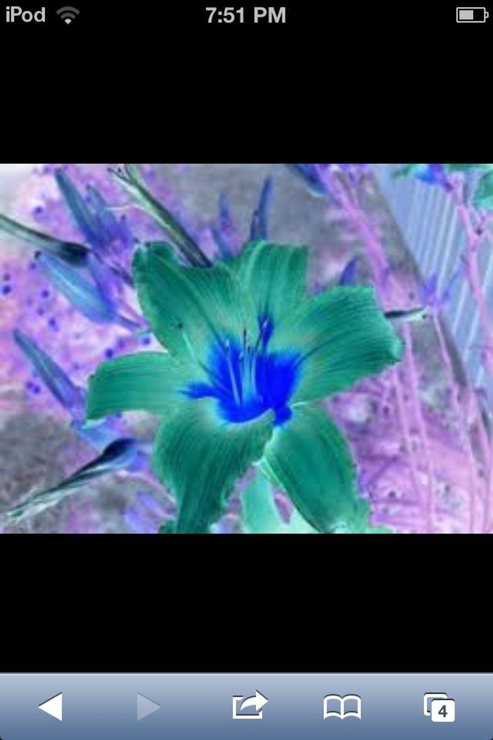 How to invert colors on apple device - B+C Guides