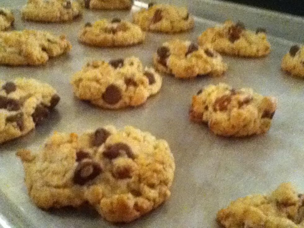 How to cook dump cookies B+C Guides