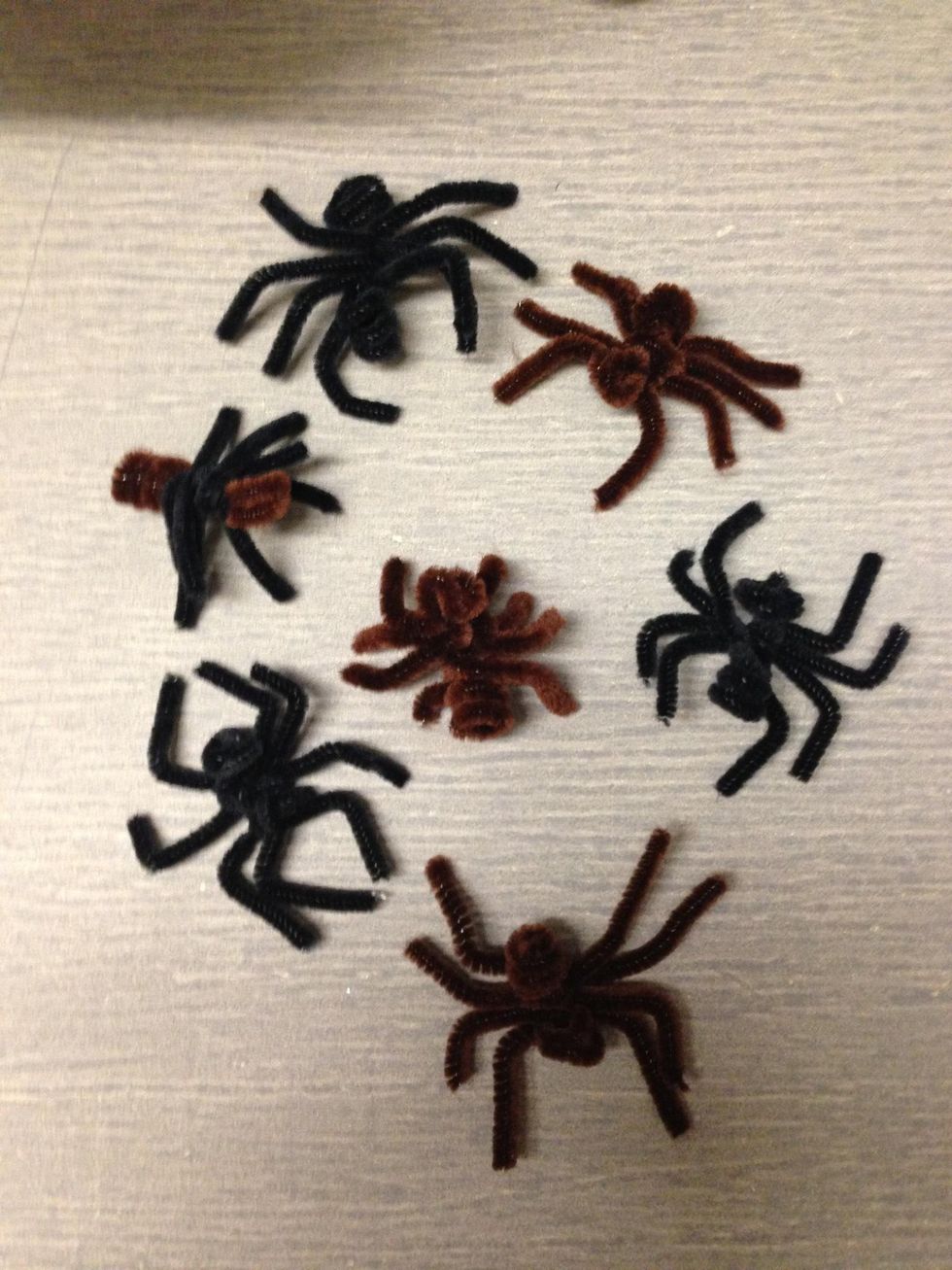 How to make a pipe cleaner spider B+C Guides
