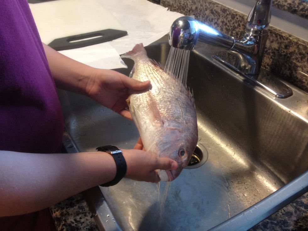 Cleanded Fish How to clean a fish - B+C Guides