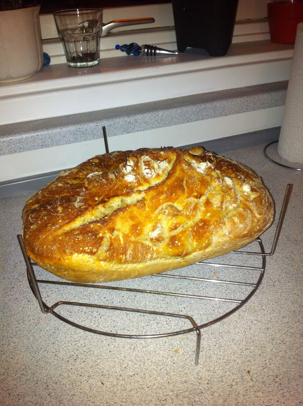 How to make the best tasting bread in the world B+C Guides