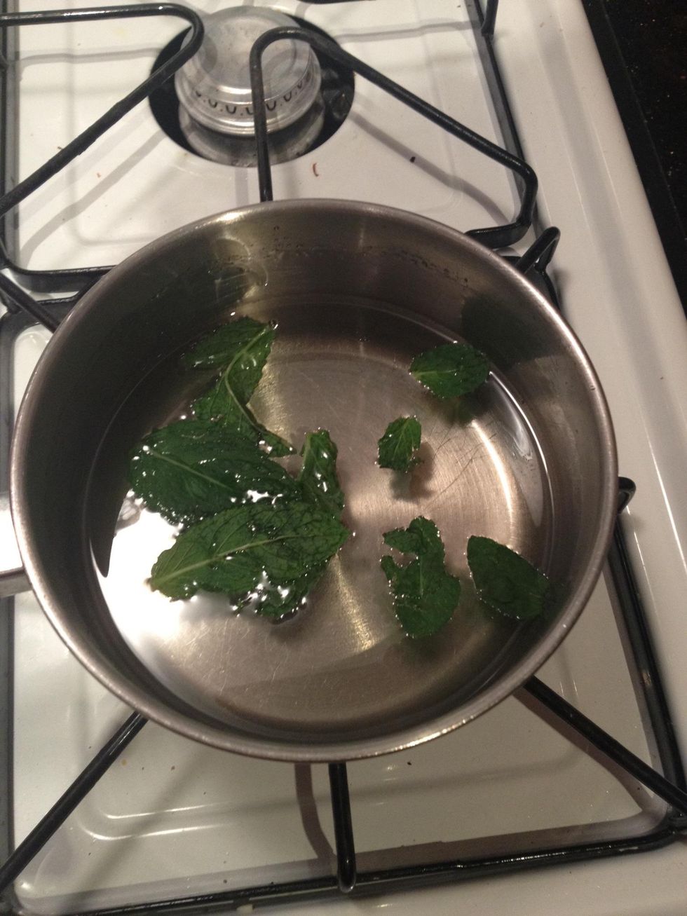 How to make mintinfused simple syrup B+C Guides