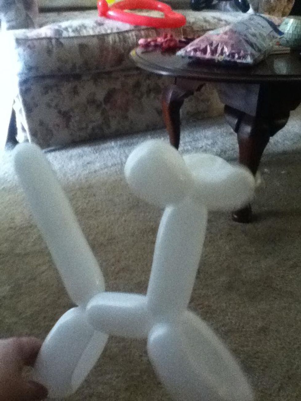 How to make a balloon dog B+C Guides