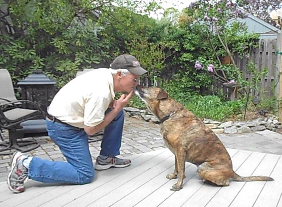 How to teach your dog to give kisses - B+C Guides