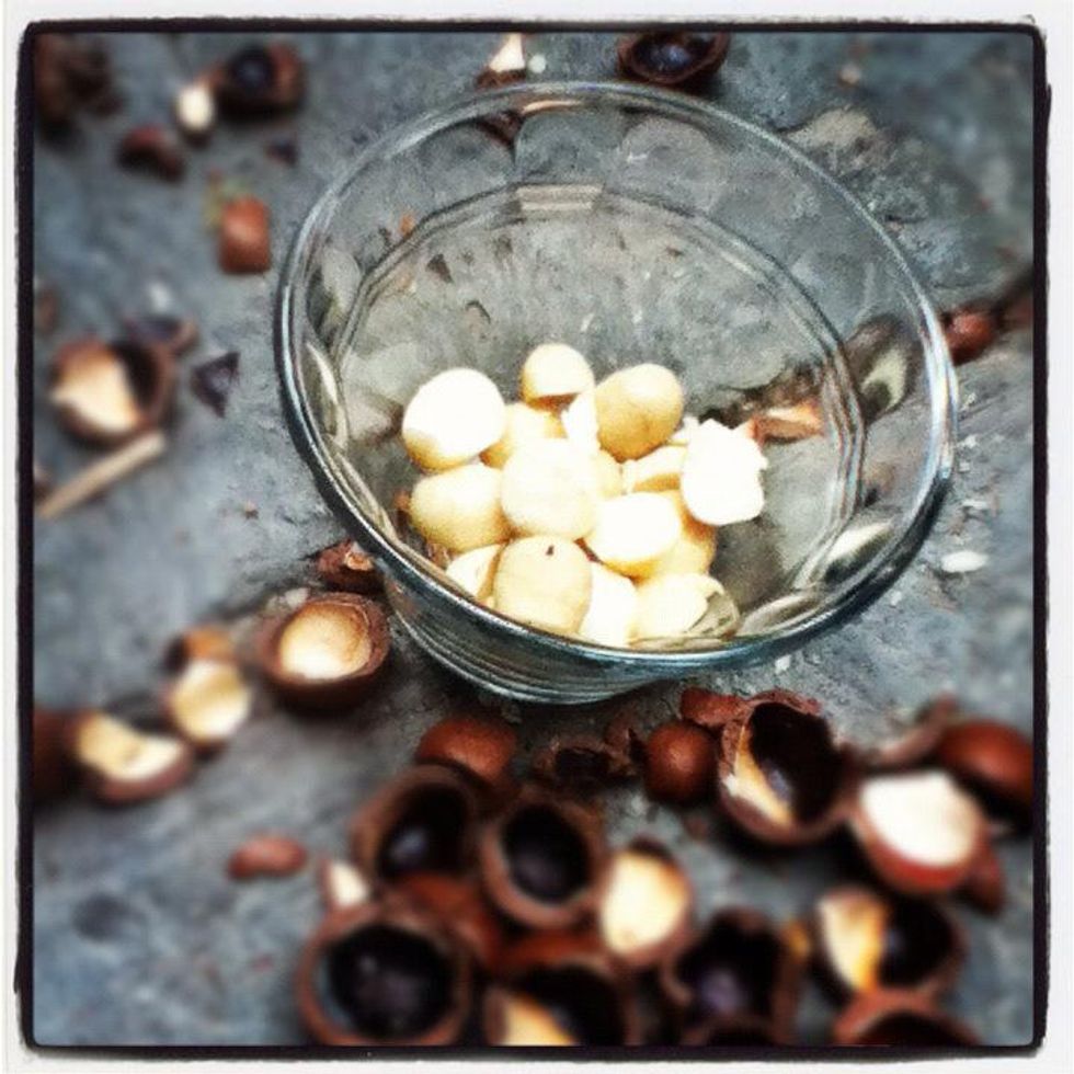 How to open macadamia nuts B+C Guides