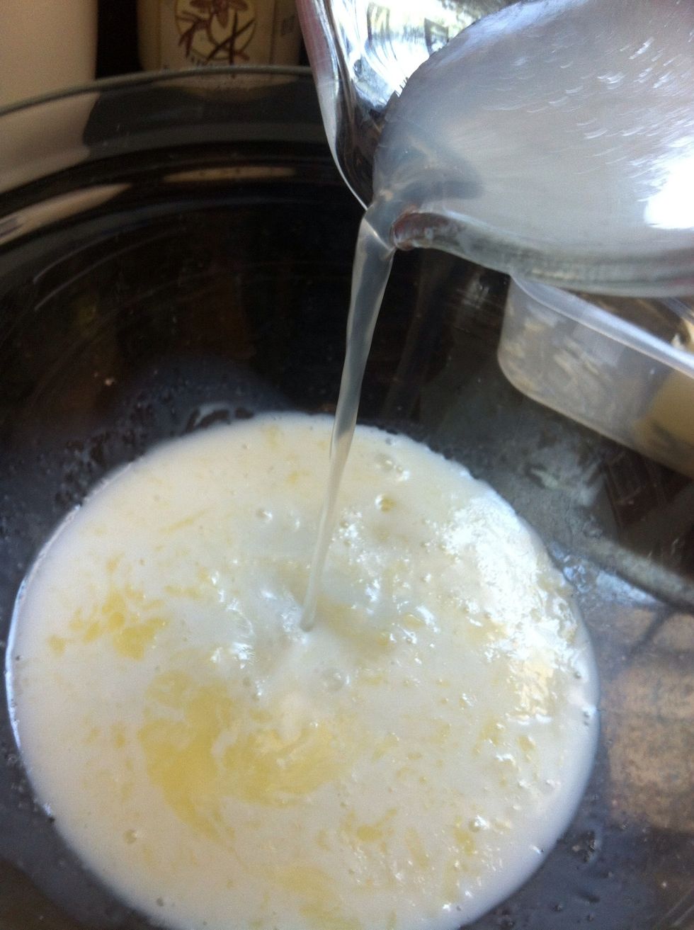 In a bowl, add 1/2 cup water, 1/2 cup milk, and your melted butter.